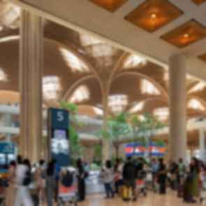 Techo International Airport - Ground Floor