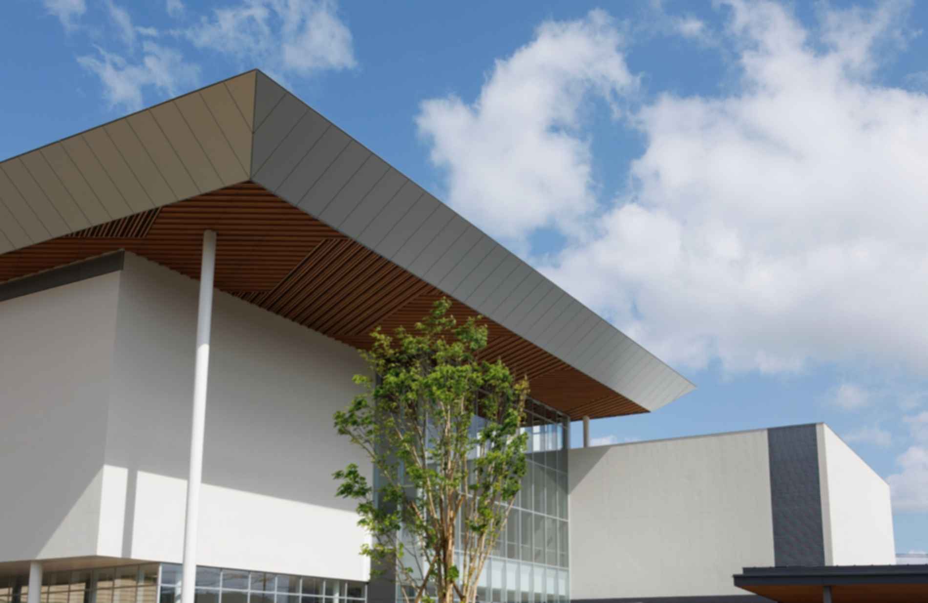 Tottori Prefectural Museum of Art - Roof