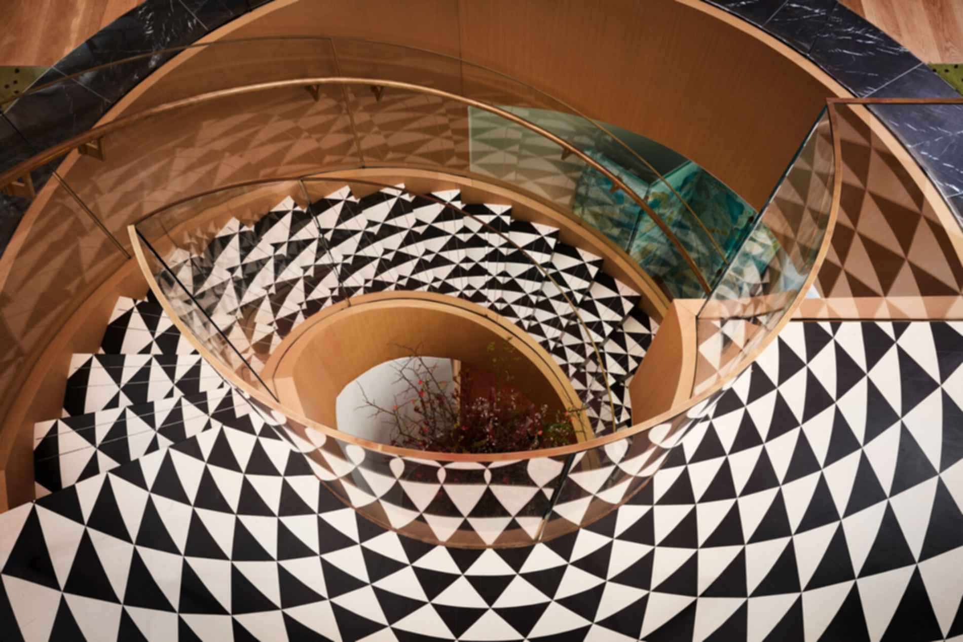 Irene Neuwirth Irene Neuwirth