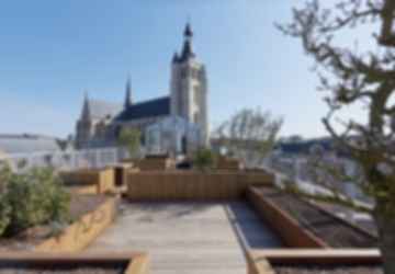 Portier 51 - Rooftop