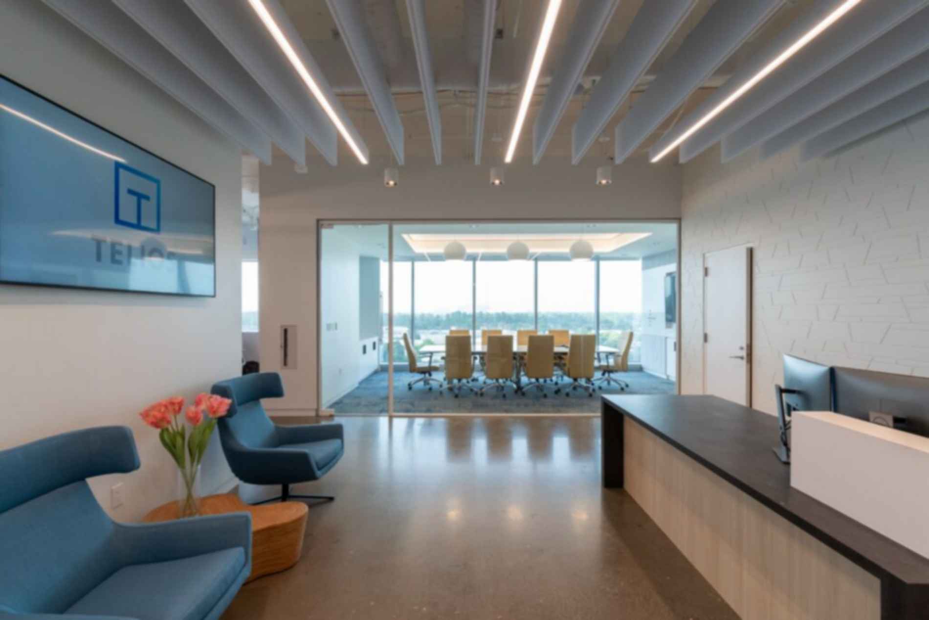 Telios Corporation Office - Reception