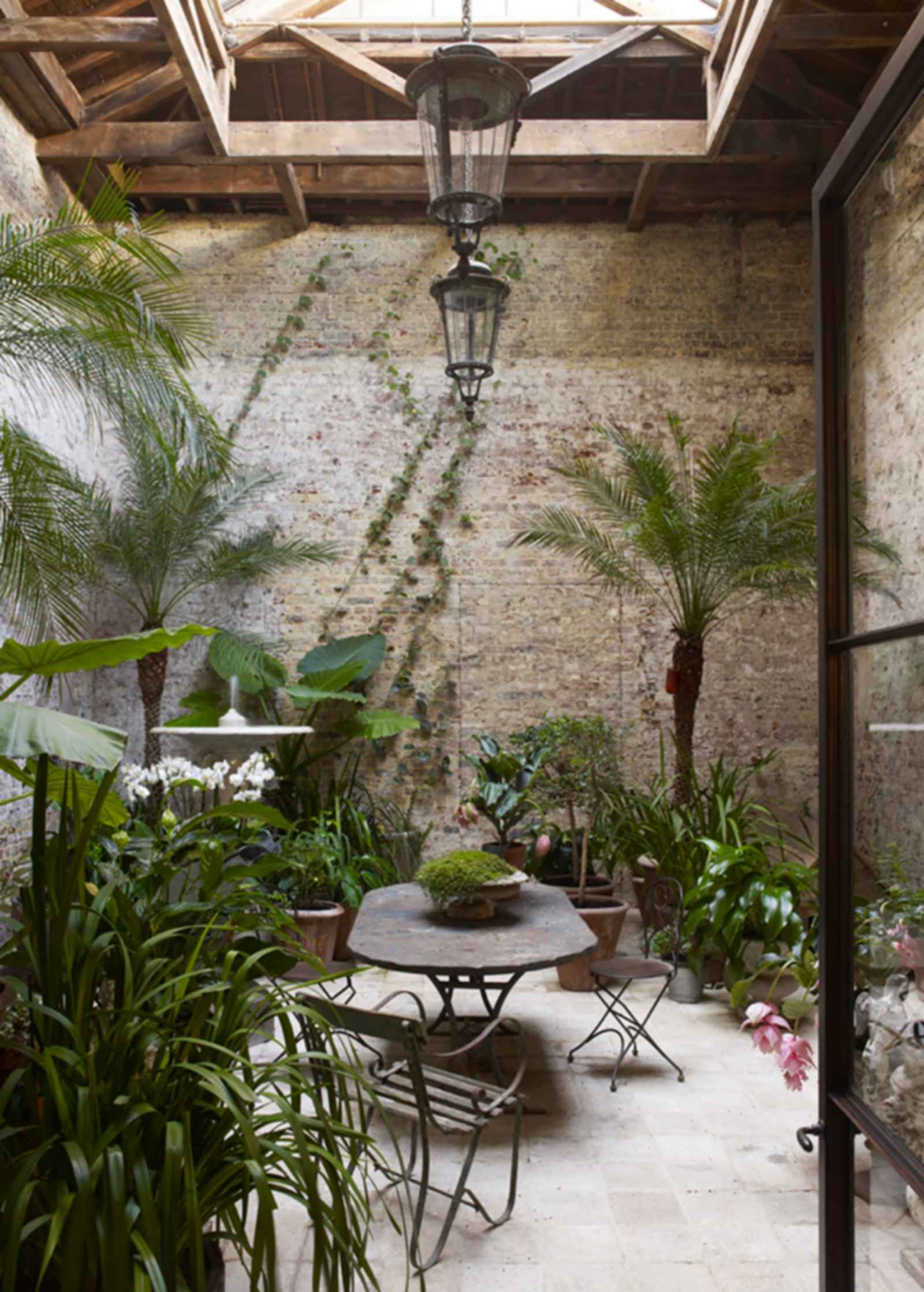 Pimlico House - Conservatory