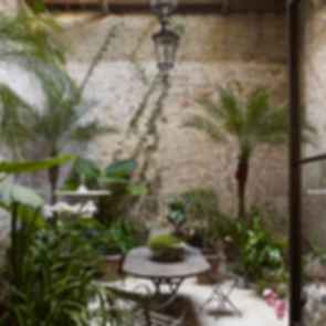 Pimlico House - Conservatory