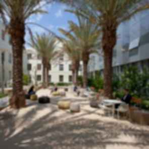 City of Santa Monica - City Hall East Building - Courtyard