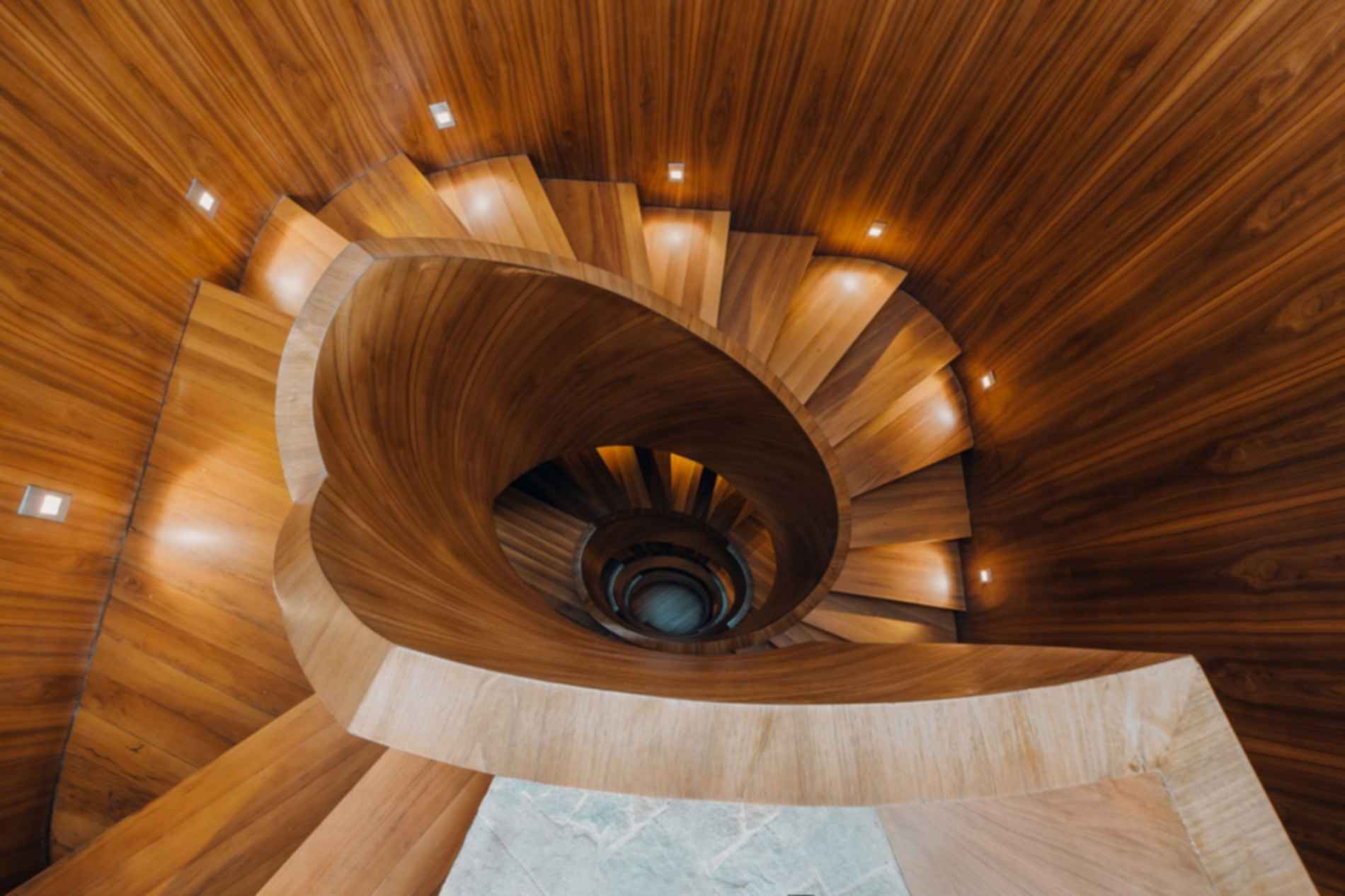 House in a Jungle - Stairs