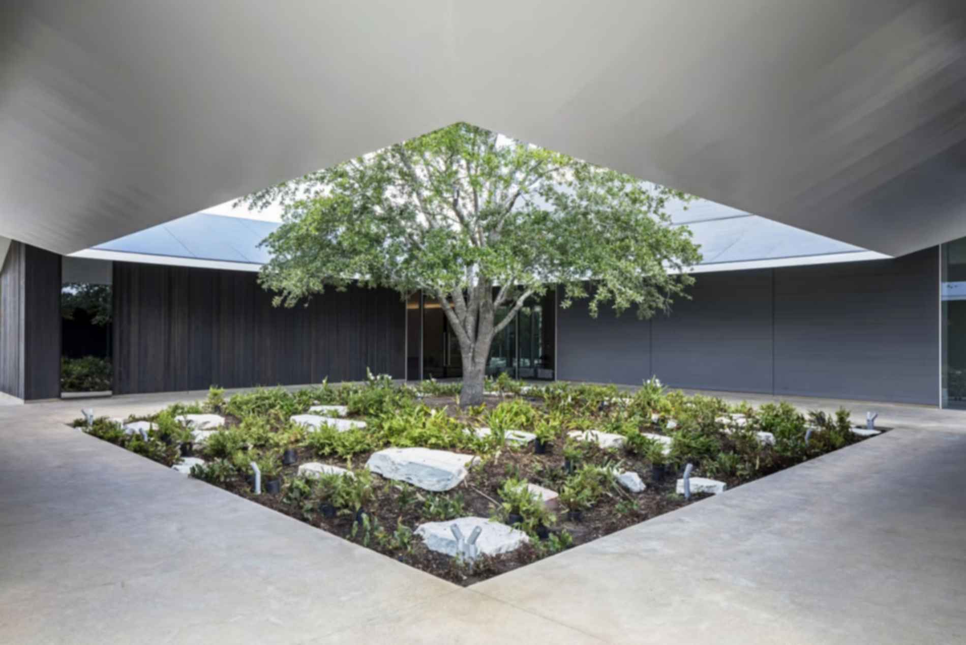 Menil Drawing Institute - Courtyard Menil Drawing Institute - Courtyard