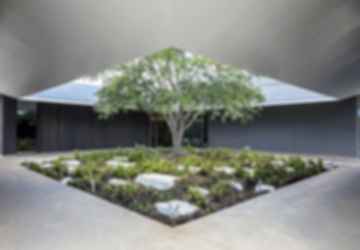 Menil Drawing Institute - Courtyard
