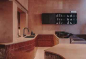 Curly Lab - Washing Station