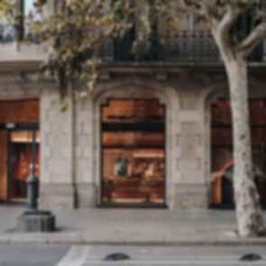 Curly Lab - Exterior