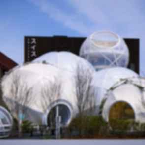 Osaka EXPO Pavilions - Domes