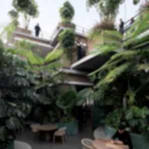 Aruma Split Garden - Courtyard