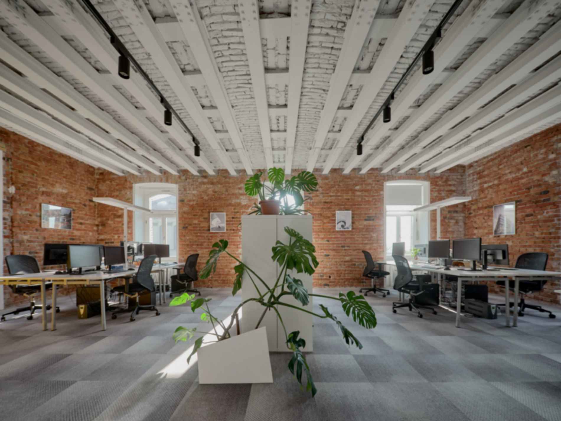 TIBA Offices - Interior