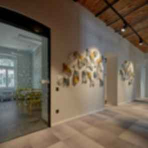 TIBA Offices - Corridor