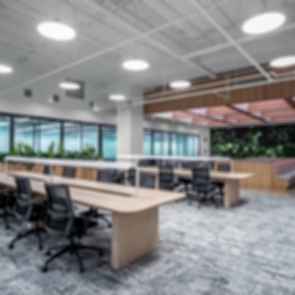 CommonGrounds Offices - Work Area