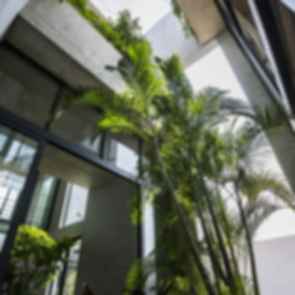 Binh House - Interior