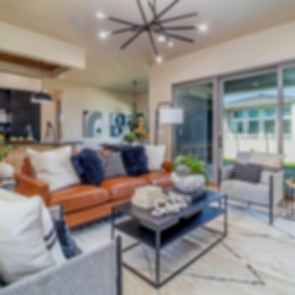 Modern Masculine Interior - Living Room