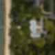 House on Sag Harbor - Aerial View