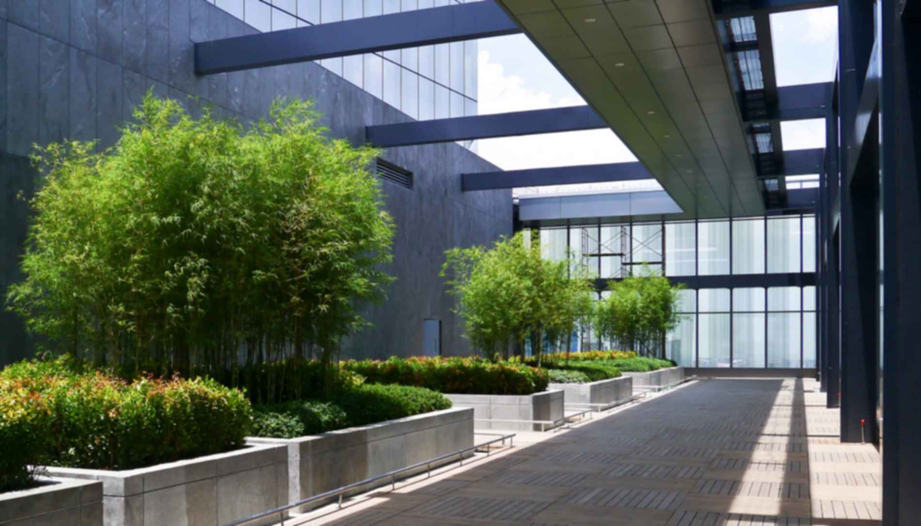 Zuellig Building - Terrace