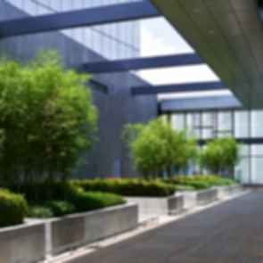 Zuellig Building - Terrace