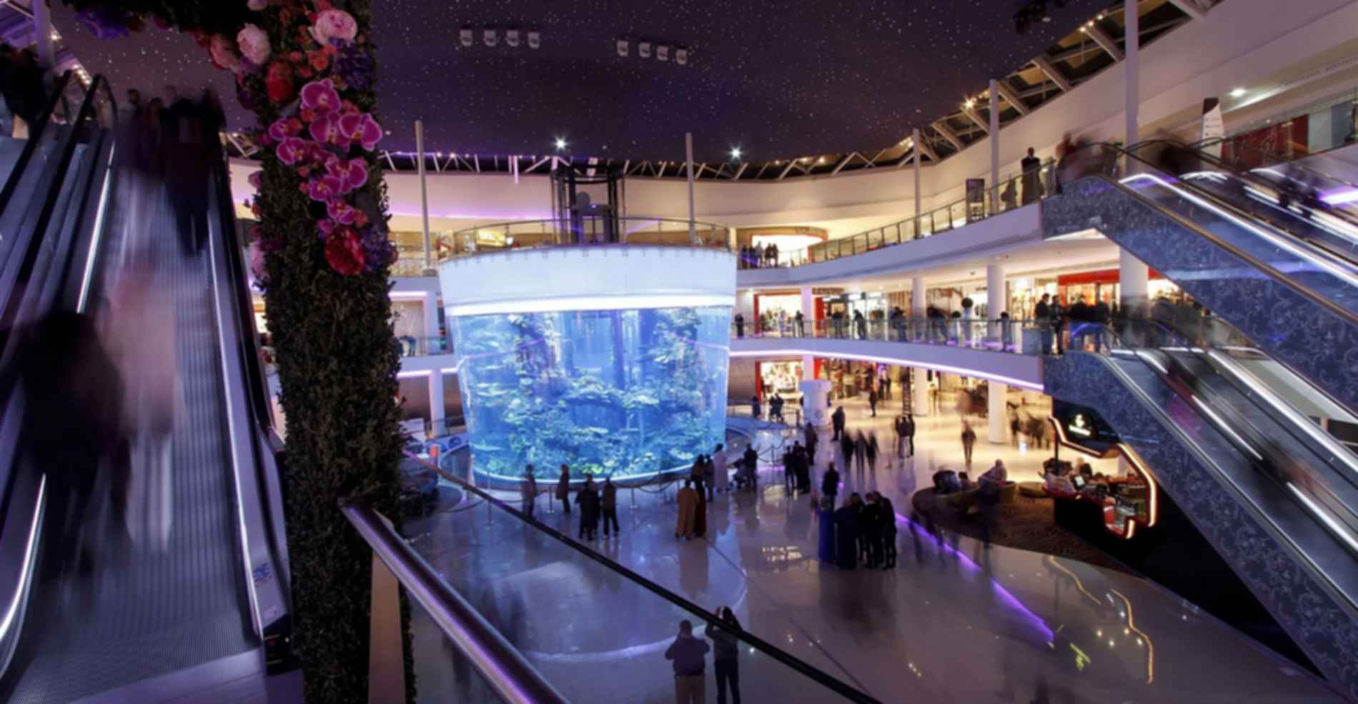 Morocco Mall - Aquarium