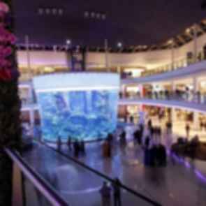 Morocco Mall - Aquarium