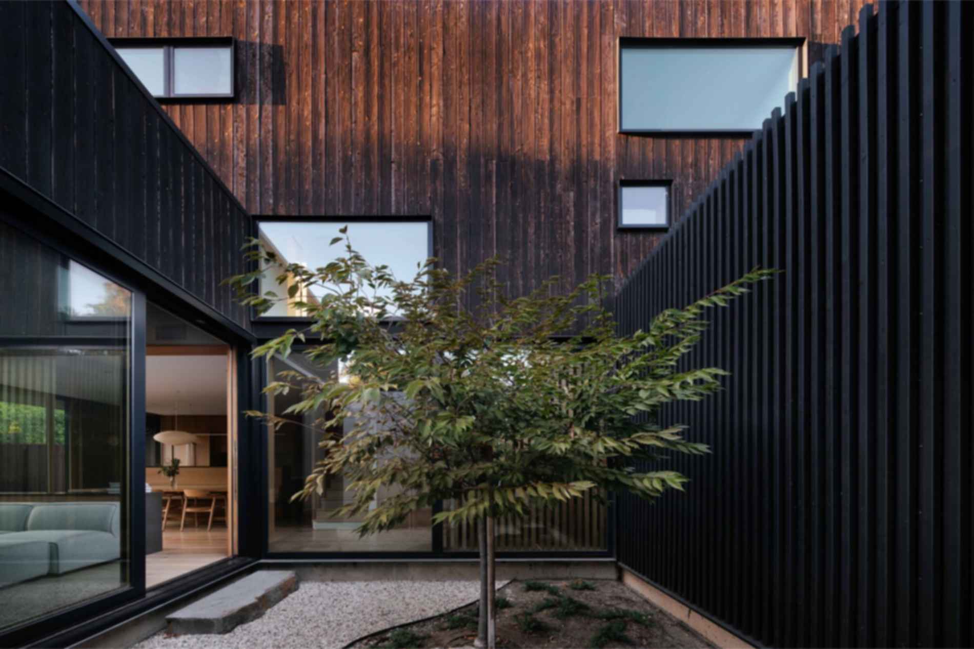 Cupertino Courtyard House - Courtyard