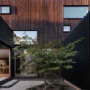 Cupertino Courtyard House - Courtyard