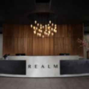 Realm Condominiums - Reception