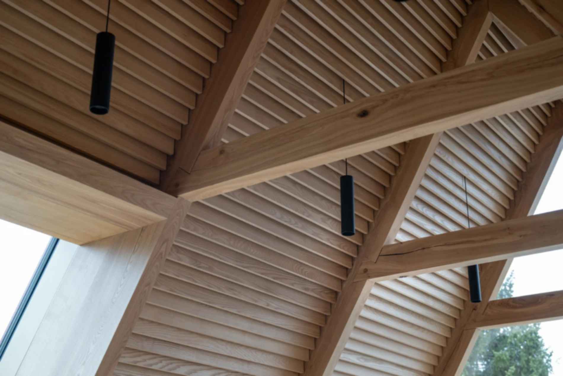 Chr Tomters Veg - Ceiling