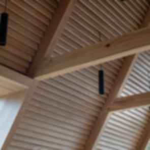 Chr Tomters Veg - Ceiling