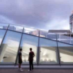 Hiwa Recreation Center - Glazing