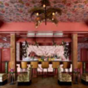 Maximalist Interiors