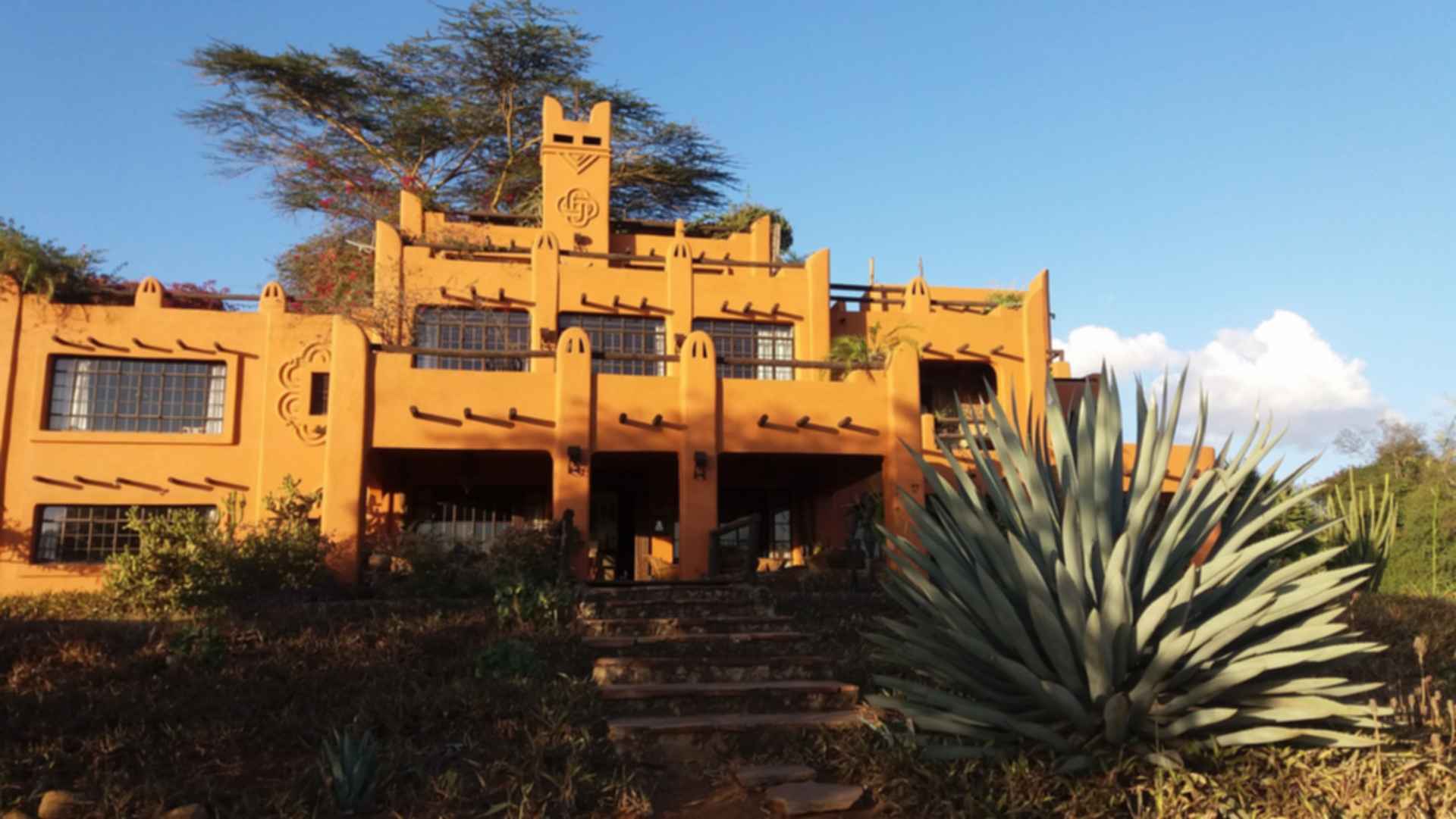 African Heritage House African Heritage House