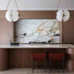 Tuxedo Park Residence - Kitchen