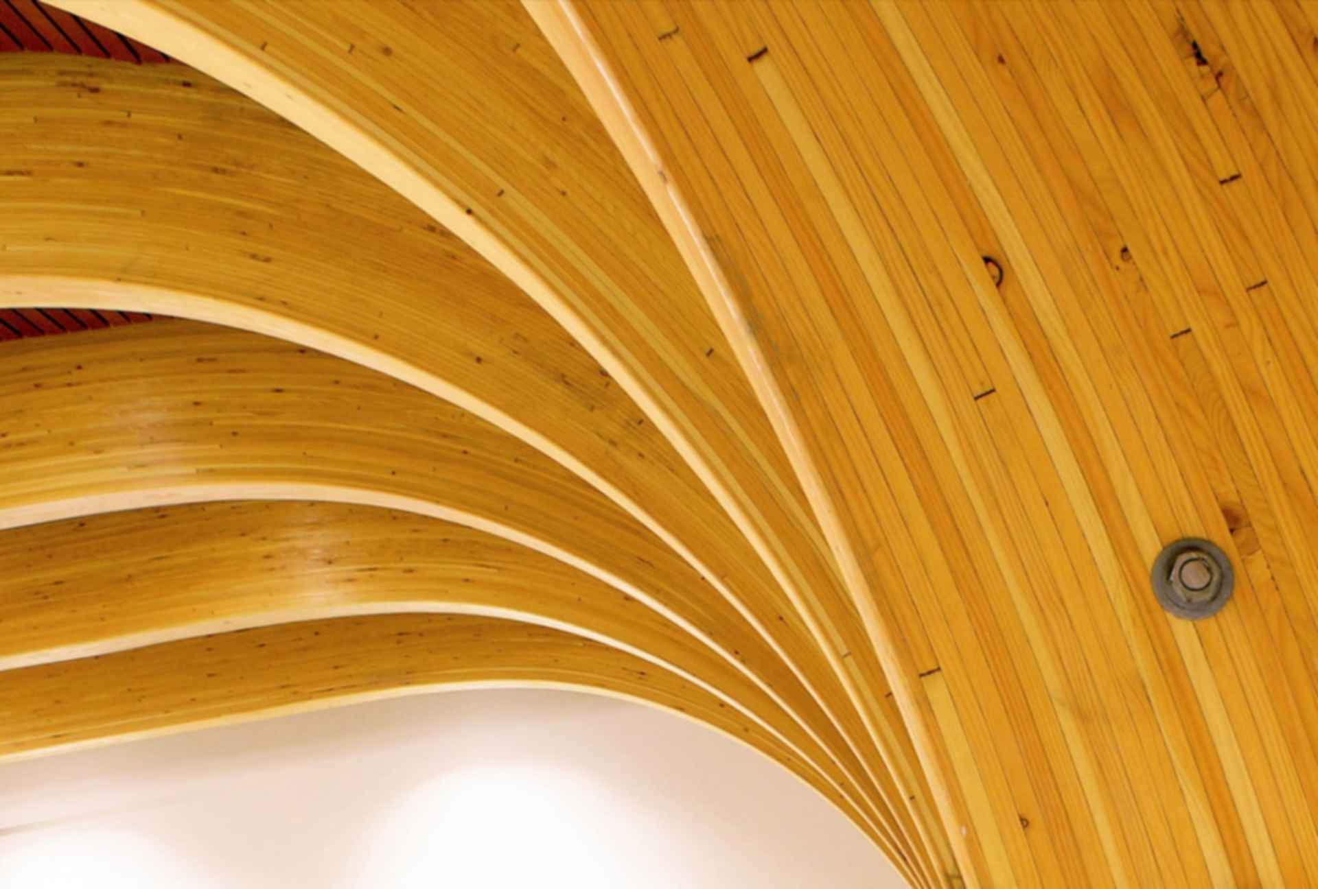 Brock Commons Tallwood House - Ceiling
