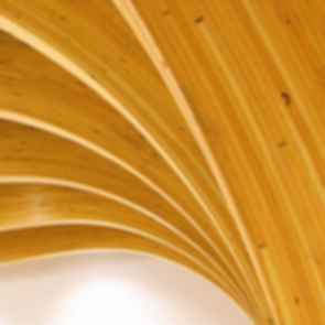 Brock Commons Tallwood House - Ceiling