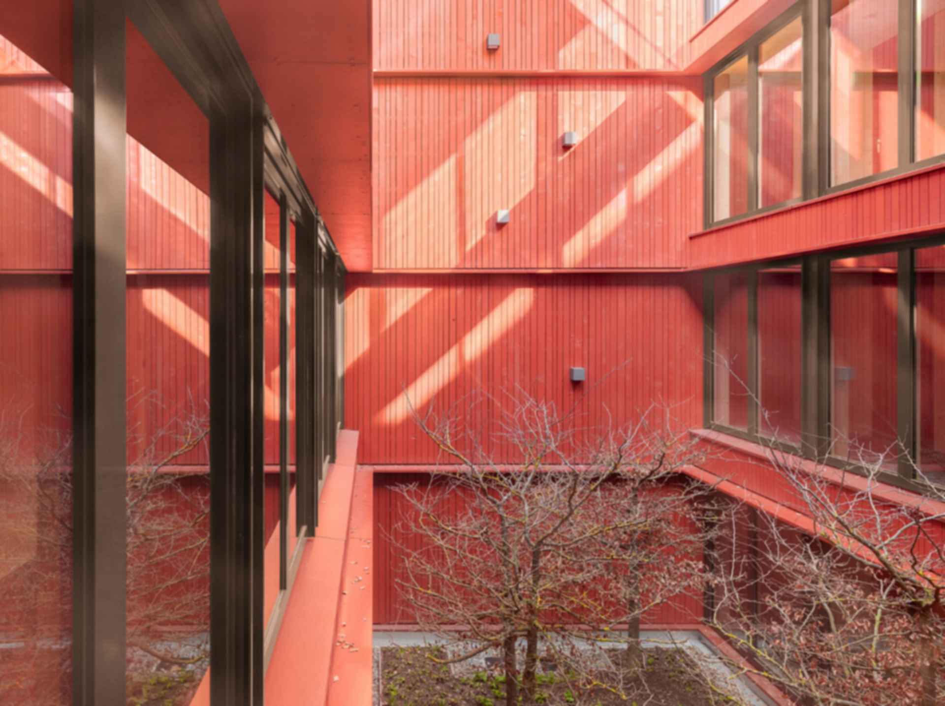 Studentenwohnheim Weingarten - Courtyard