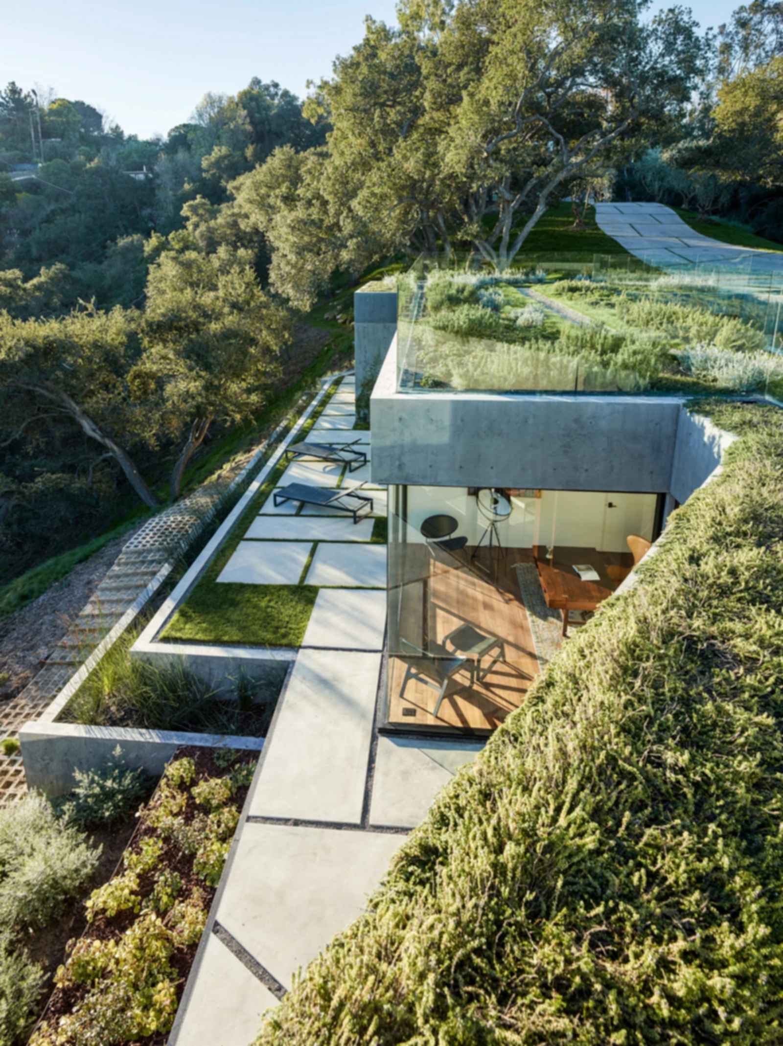 Oak Pass House - Green Roof