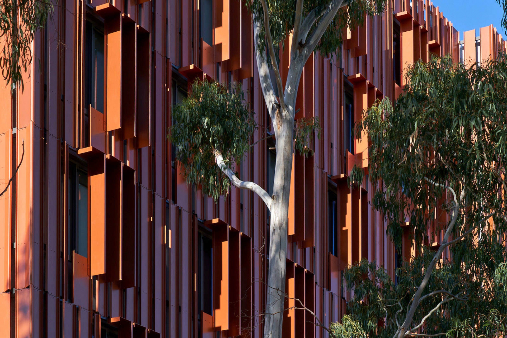 Dormitory Building Cladding Gillies Hall Student Accommodation - Cladding - modlar.com