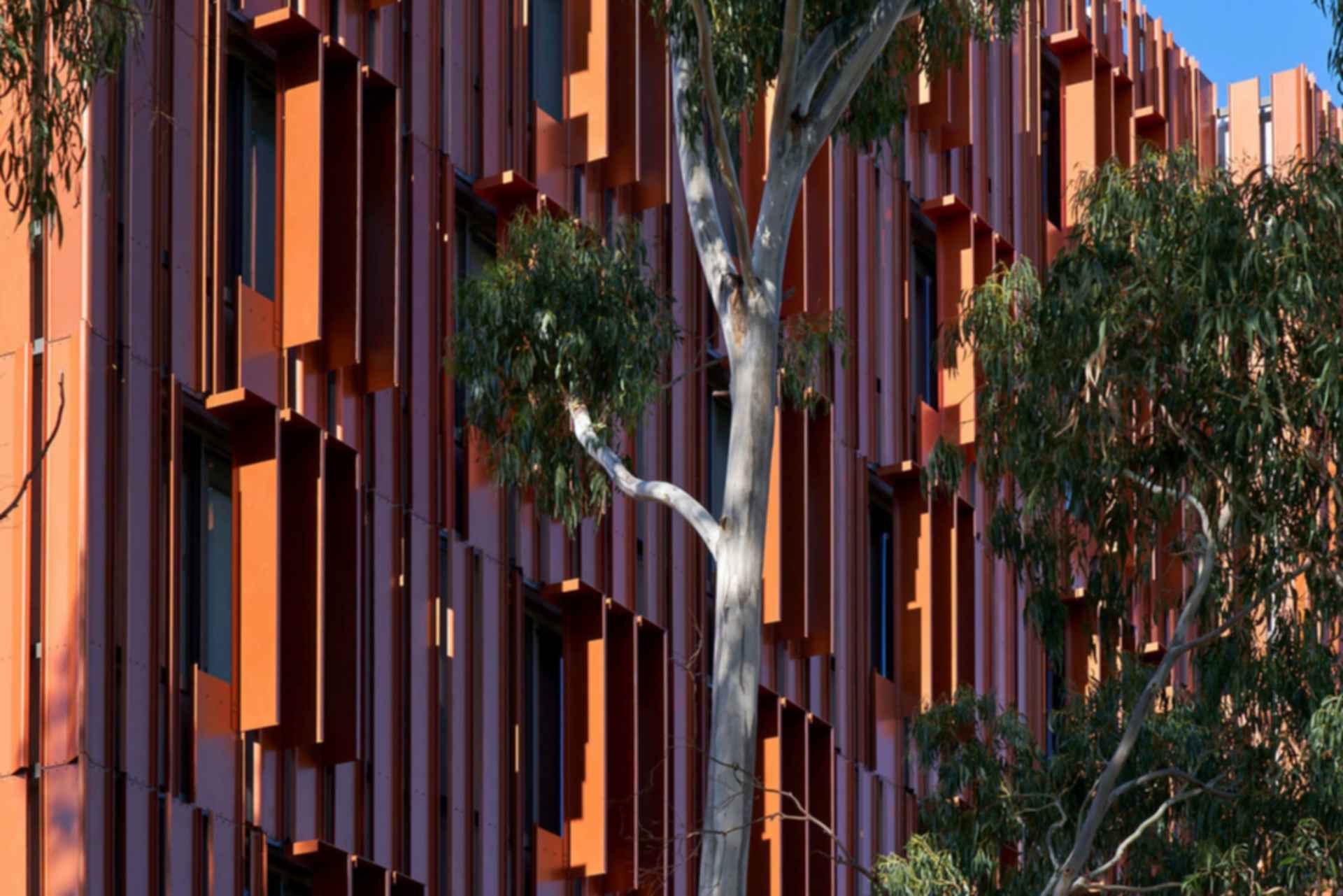 Gillies Hall Student Accommodation - Cladding