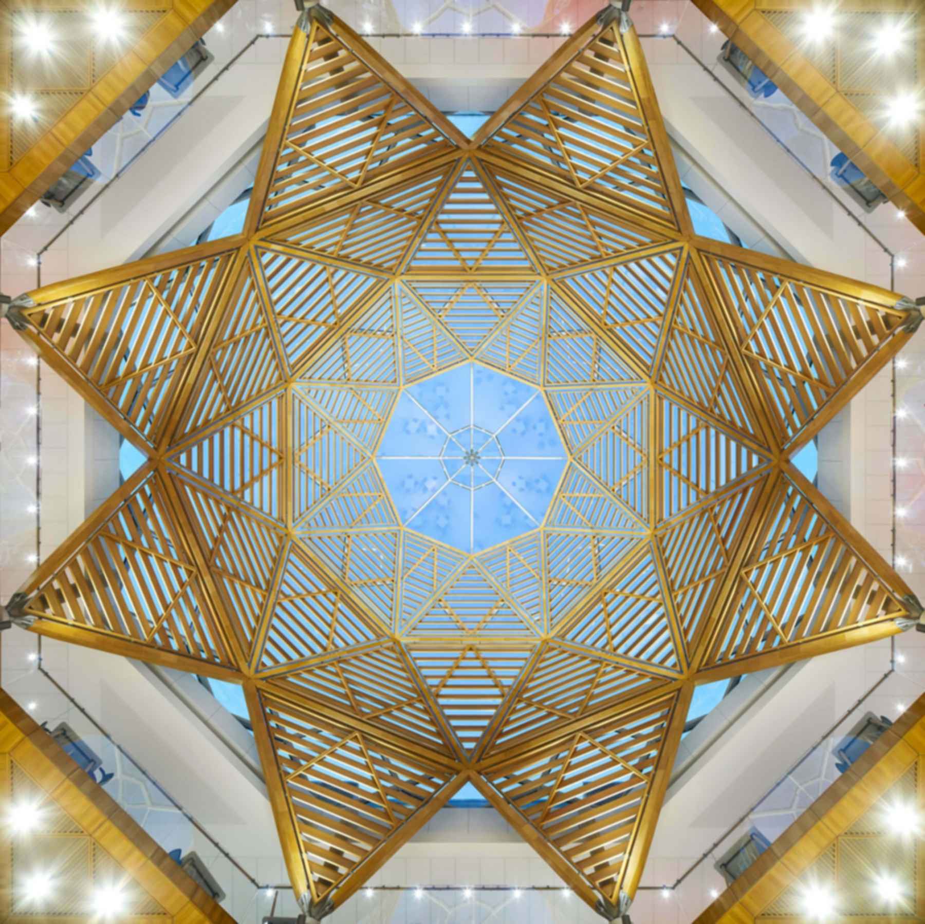 Stephen A. Schwarzman Center for the Humanities - Ceiling