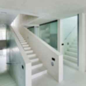 Jellyfish House - Stairs