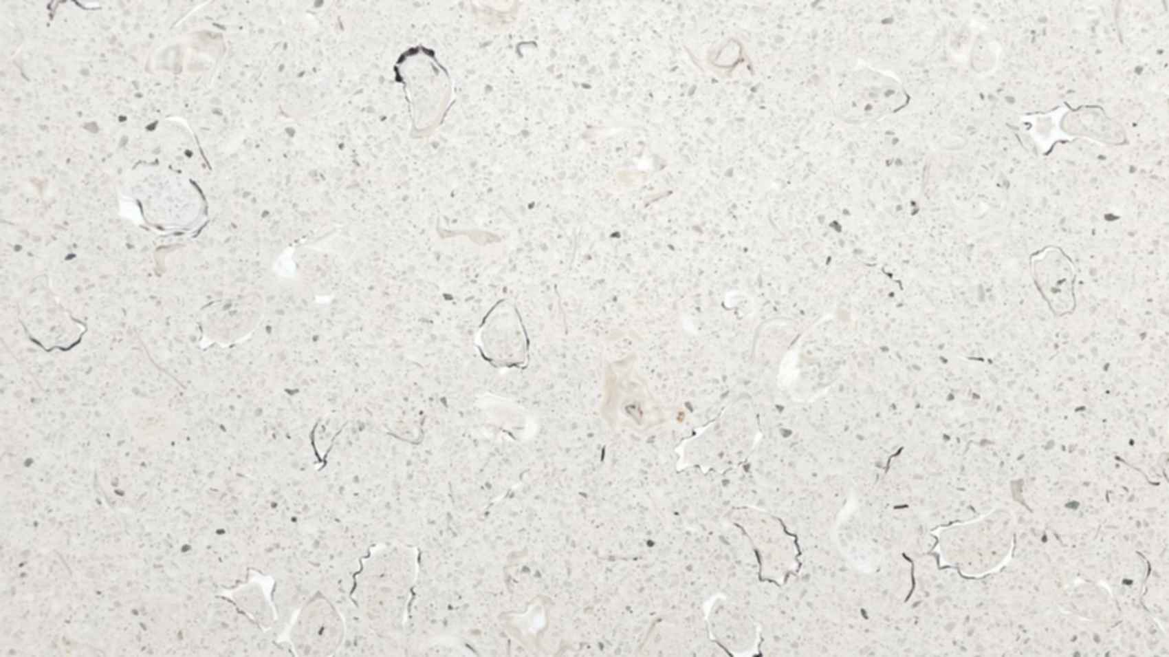 Pier Pavilion - Terrazzo