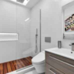 Roland Avenue - Bathroom