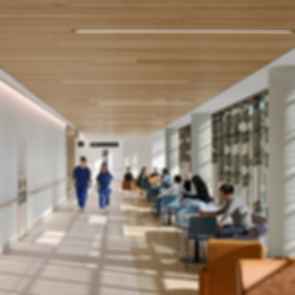 Canberra Hospital Expansion - Building 5 - Corridor