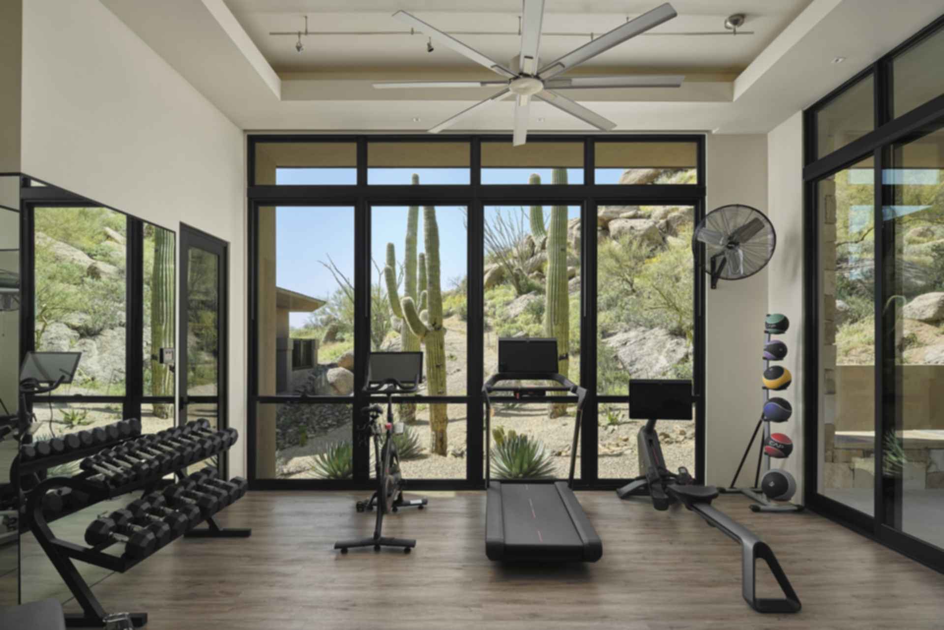 Pinnacle Canyon Residence - Gym