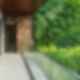 L&H Residence - Green Wall