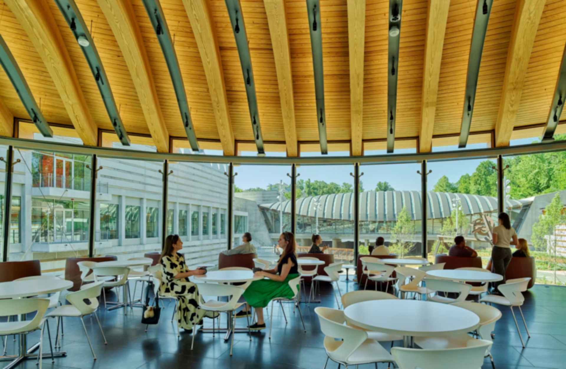 Crystal Bridges Museum of American Art Expansion - Cafe Crystal Bridges Museum of American Art Expansion - Cafe
