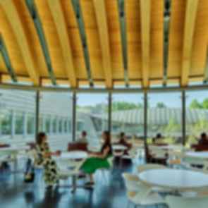 Crystal Bridges Museum of American Art Expansion - Cafe