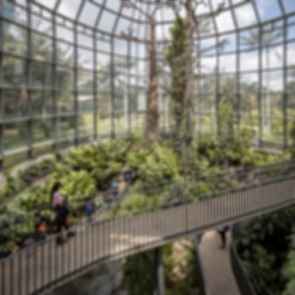 Tropicario Bogotá Botanic Garden - Walkway